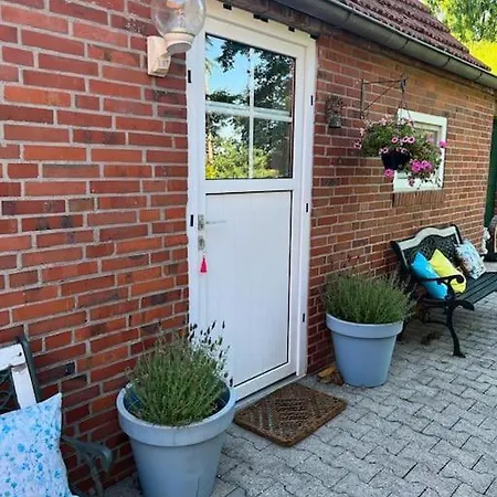 Huisje Kakelbont Twist